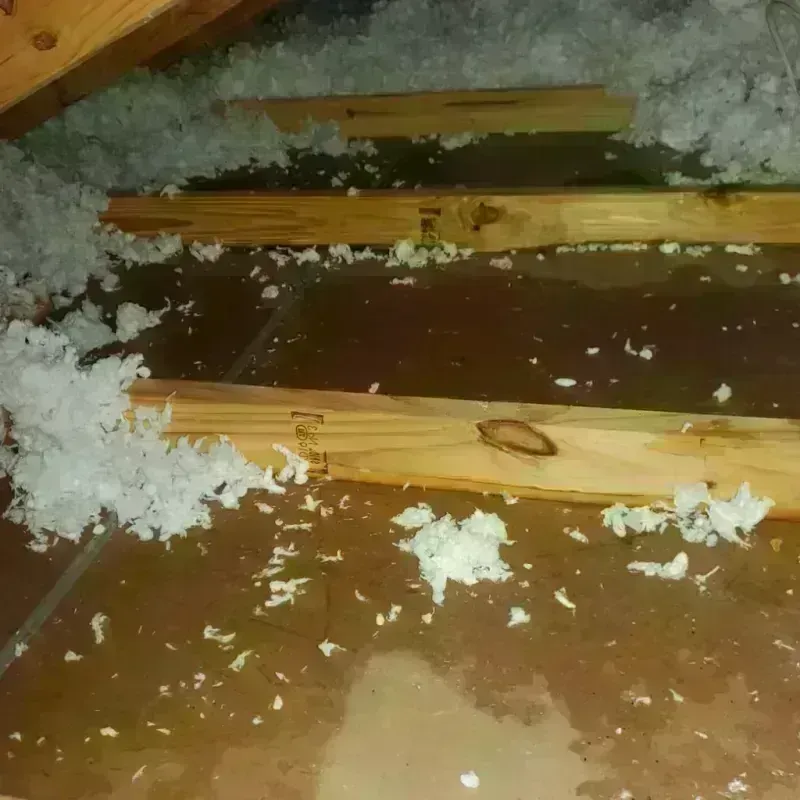 Attic Water Damage in Midfield, AL